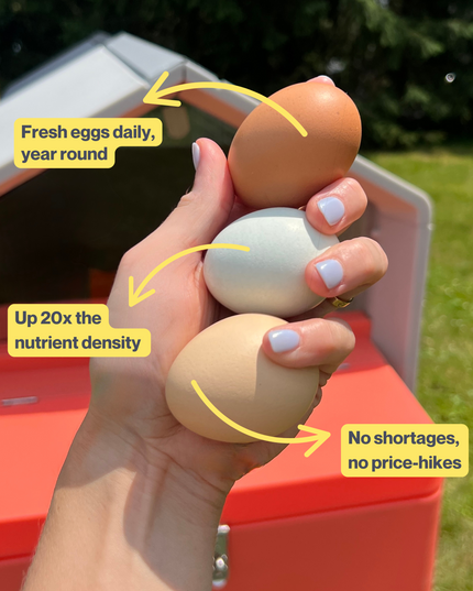 The Smart Coop Unlimited+ (+ Free Chicks! 🐣)