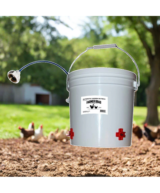 Automatic Chicken Waterer (2 Gallon)