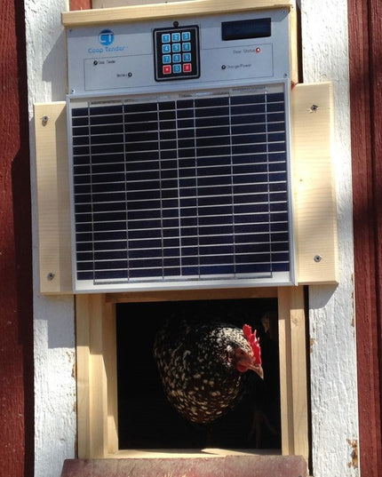 Solar Chicken Coop Door