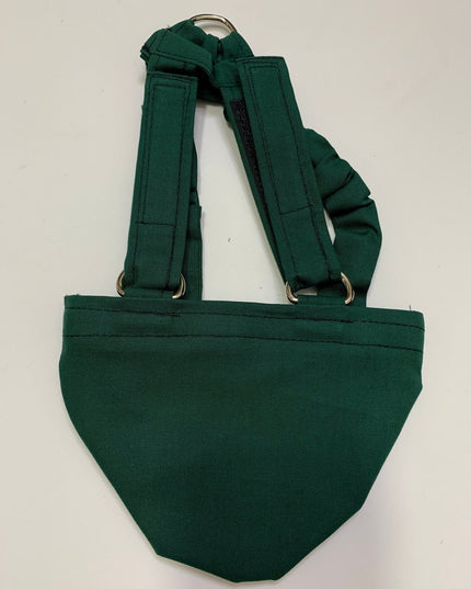 Hen Holster Bird Diaper/Harness (chicken diaper, duck diaper, pigeon diaper with Removable Vinyl Liner)