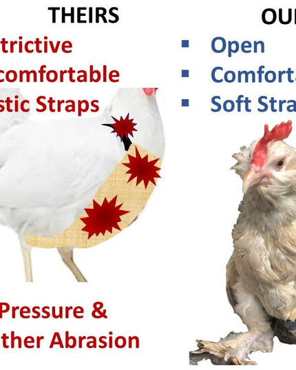 Hen Holster Chicken Diaper Harness with Permanent Sewn-in Liner (Duck Diaper, Goose Diaper, Parrot Diaper)