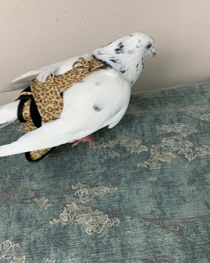 Hen Holster Chicken Diaper Harness with Permanent Sewn-in Liner (Duck Diaper, Goose Diaper, Parrot Diaper)