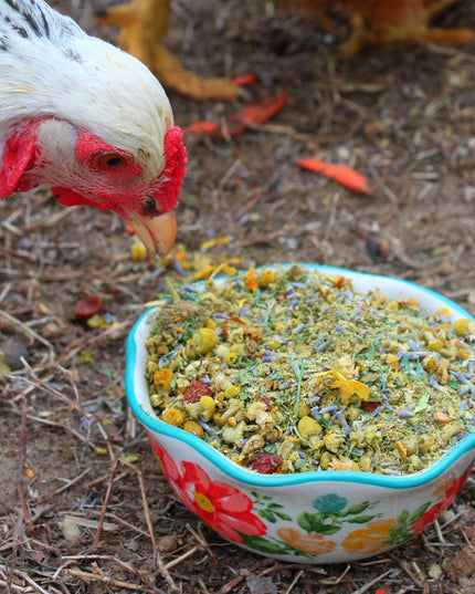 Scent of Spring Nesting Herbs For Backyard Chickens With Lavender, Chamomile, Calendula, and more!