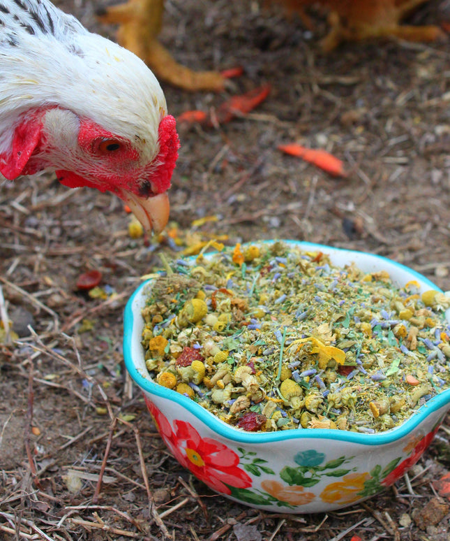 Scent of Spring Nesting Herbs For Backyard Chickens With Lavender, Chamomile, Calendula, and more!