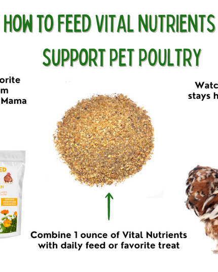 Vital Nutrients: Supplemental Essential Vitamins & Trace Minerals For Pet Chickens & Ducks