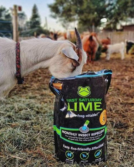 First Saturday Lime Insect Repellent