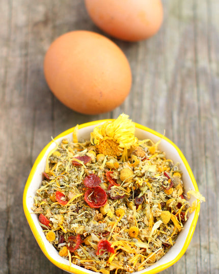 Scent of Spring Nesting Herbs For Backyard Chickens With Lavender, Chamomile, Calendula, and more!