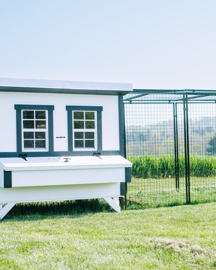 Large Chicken Coop – Houses Up to 15 Chickens