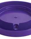 Base Only / Purple / 1 Gallon