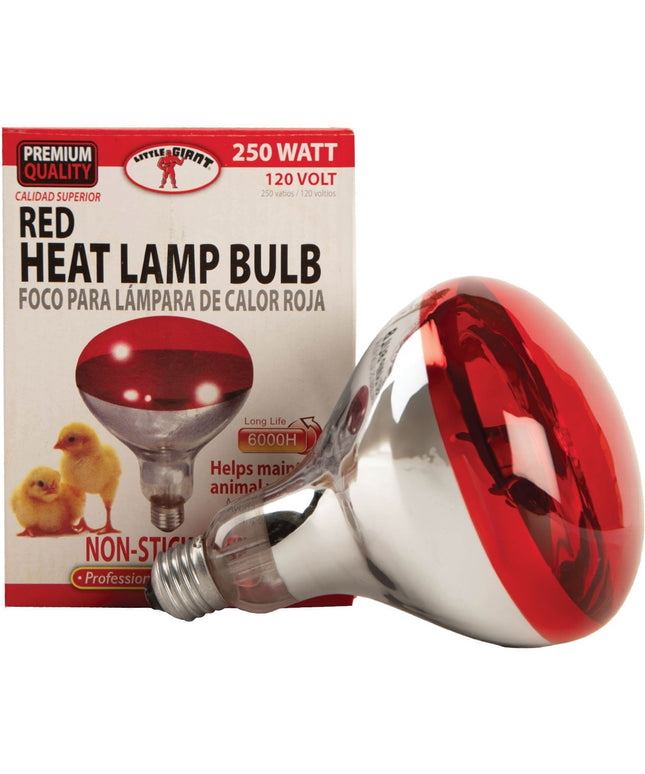 Clamp-On Brooder Heat Lamp for Chicks & Poultry - Compatible with 250W Red & Clear Heat Bulbs