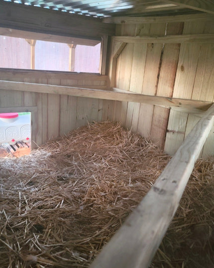 Wise County Chicken Farm Coops 6ft x 6ft