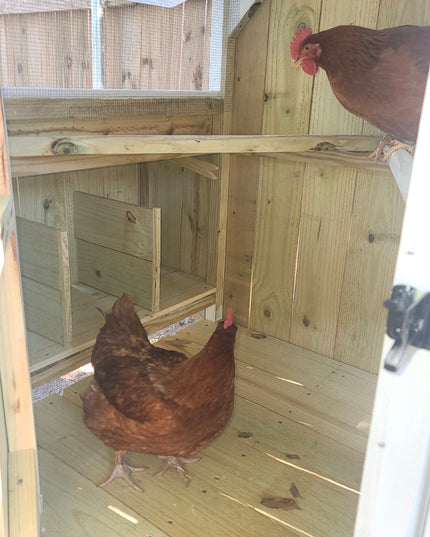 Wise County Chicken Farm Coops 6ft x 6ft