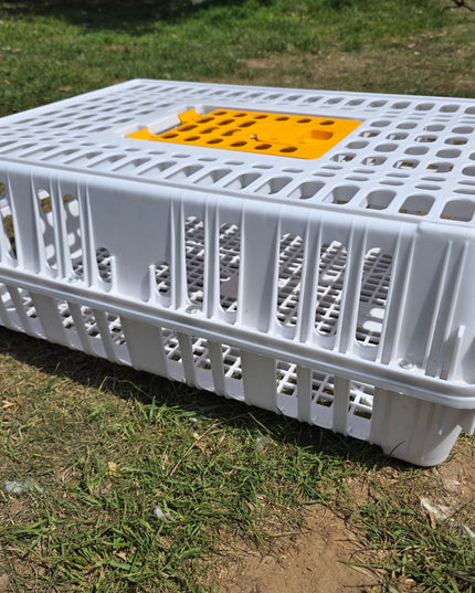 Poultry Transport Crates