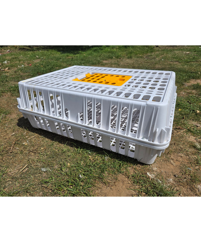 Poultry Transport Crates