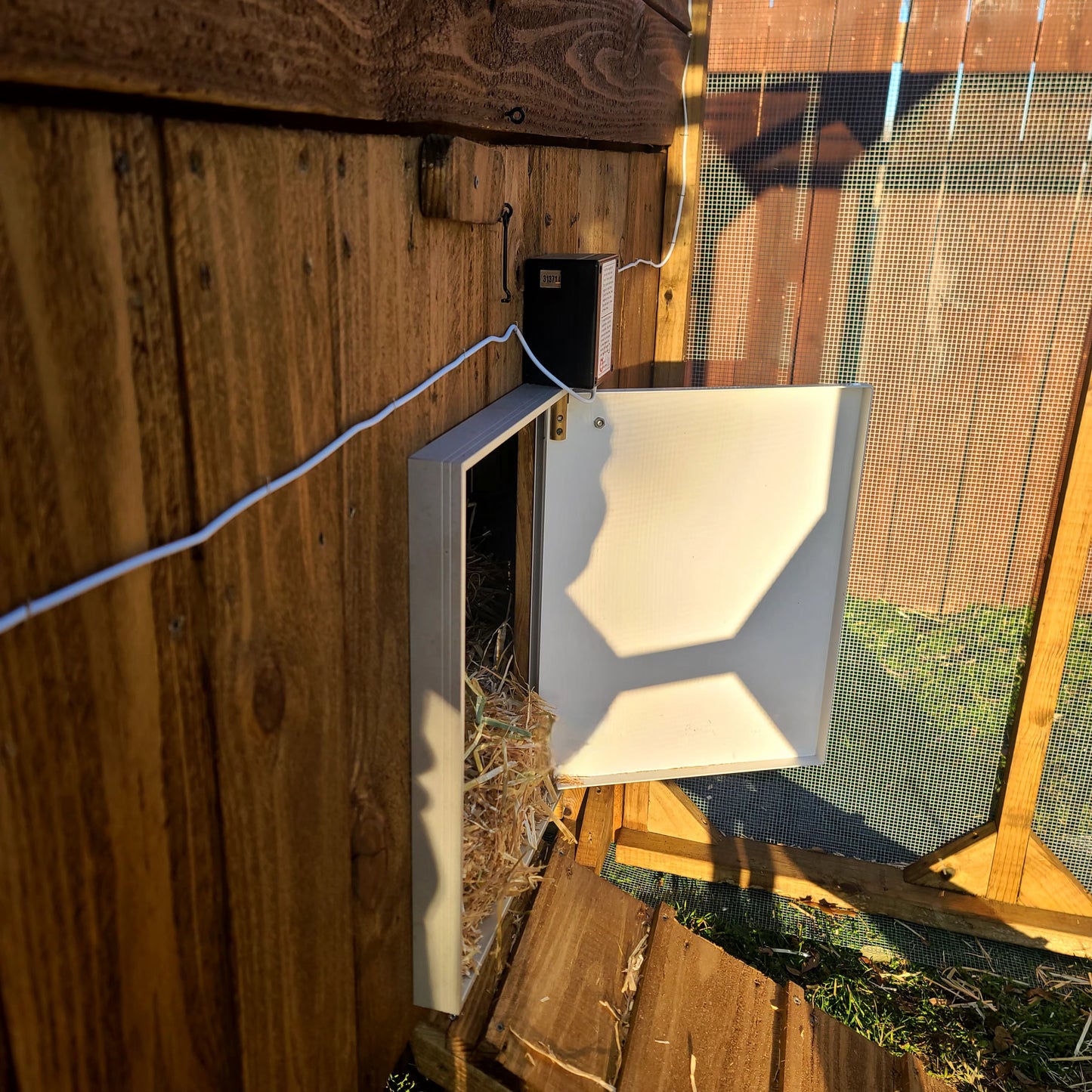 Premium Double Powered Chicken Coop Door with Battery Back Up