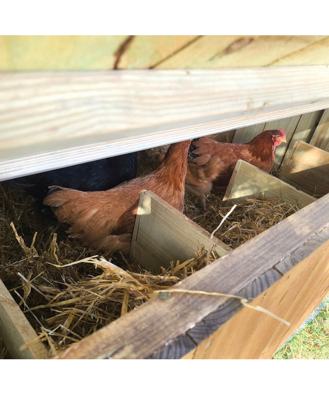 Wise County Chicken Farm Coops 5ft x 5ft