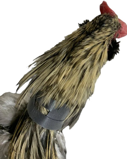 Rooster Saver Volume-Reducing Crow Collar (Made in USA)