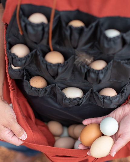 Roo-ster Egg Collecting Apron-Wholesale
