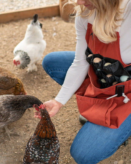 Roo-ster Egg Collecting Apron-Wholesale
