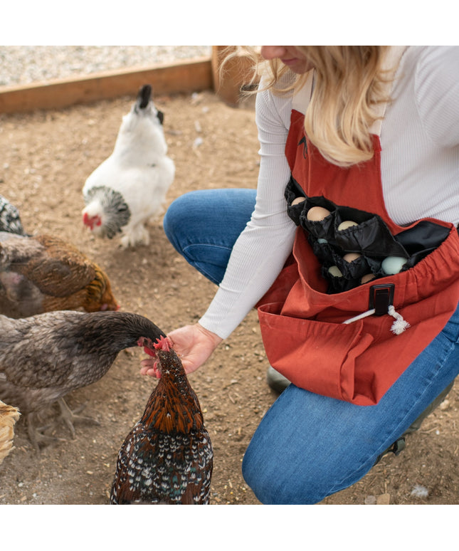 Roo-ster Egg Collecting Apron-Wholesale