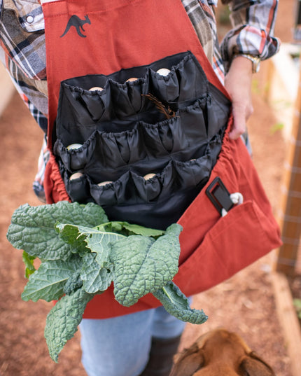 Roo-ster Egg Collecting Apron-Wholesale