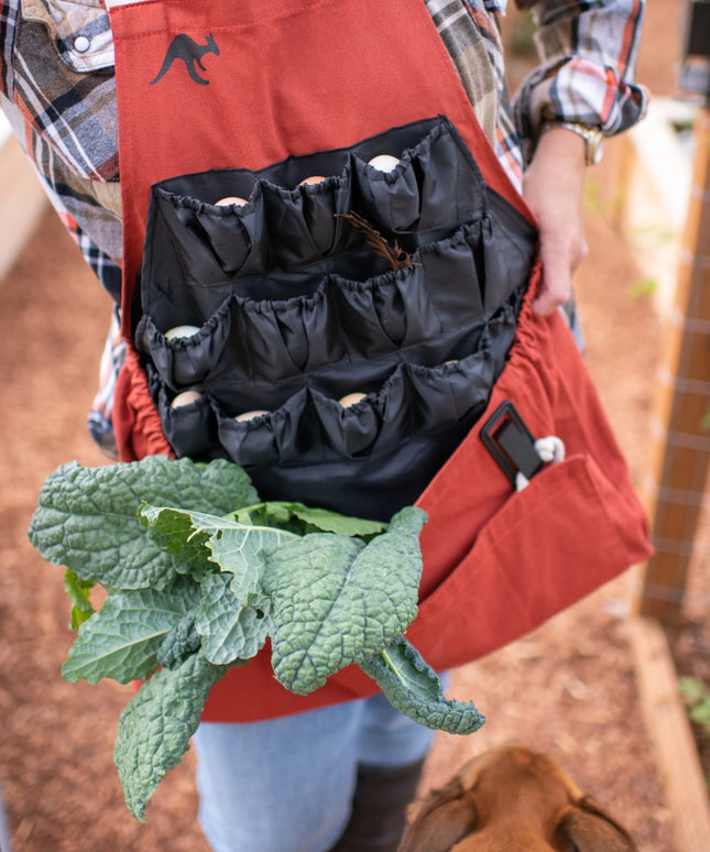 Roo-ster Egg Collecting Apron-Wholesale