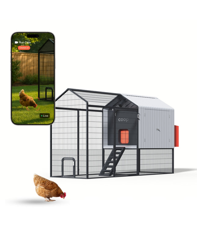The Smart Coop + Steel Run (+ Free Chicks! 🐣)