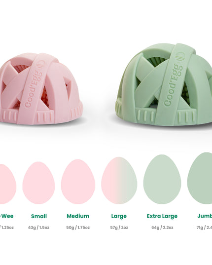 The Full Eggcellent Kit