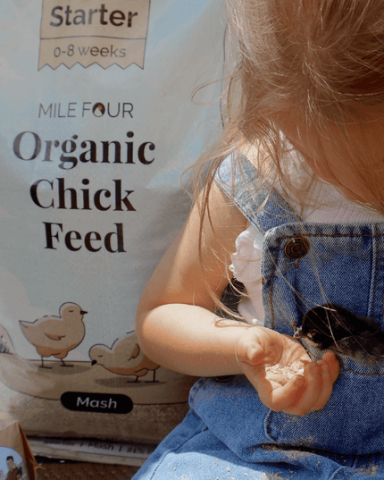 Starter Organic Chicken Feed