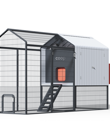 The Smart Coop + Steel Run (+ Free Chicks! 🐣)