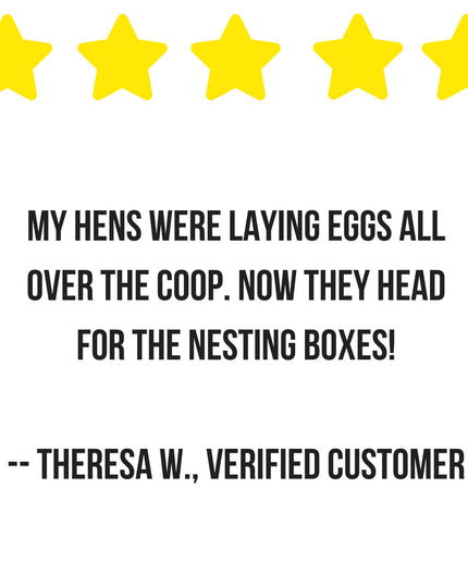Scent of Spring Nesting Herbs For Backyard Chickens With Lavender, Chamomile, Calendula, and more!