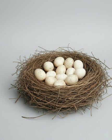 Eastern Wild Turkey Hatching Eggs (Online Only)