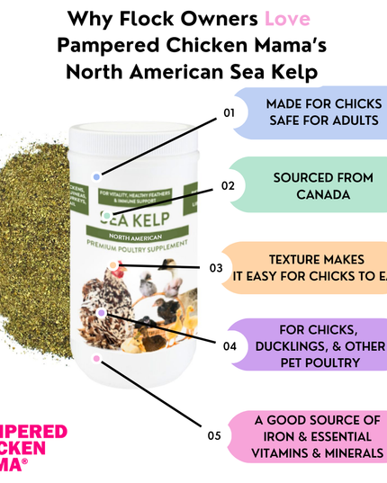 North Atlantic Kelp For Extra Vitamins, Minerals, & Amino Acids For Pet Chickens & Ducks