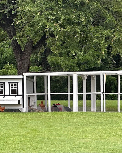 XL Chicken Coop - Up to 20 Chickens