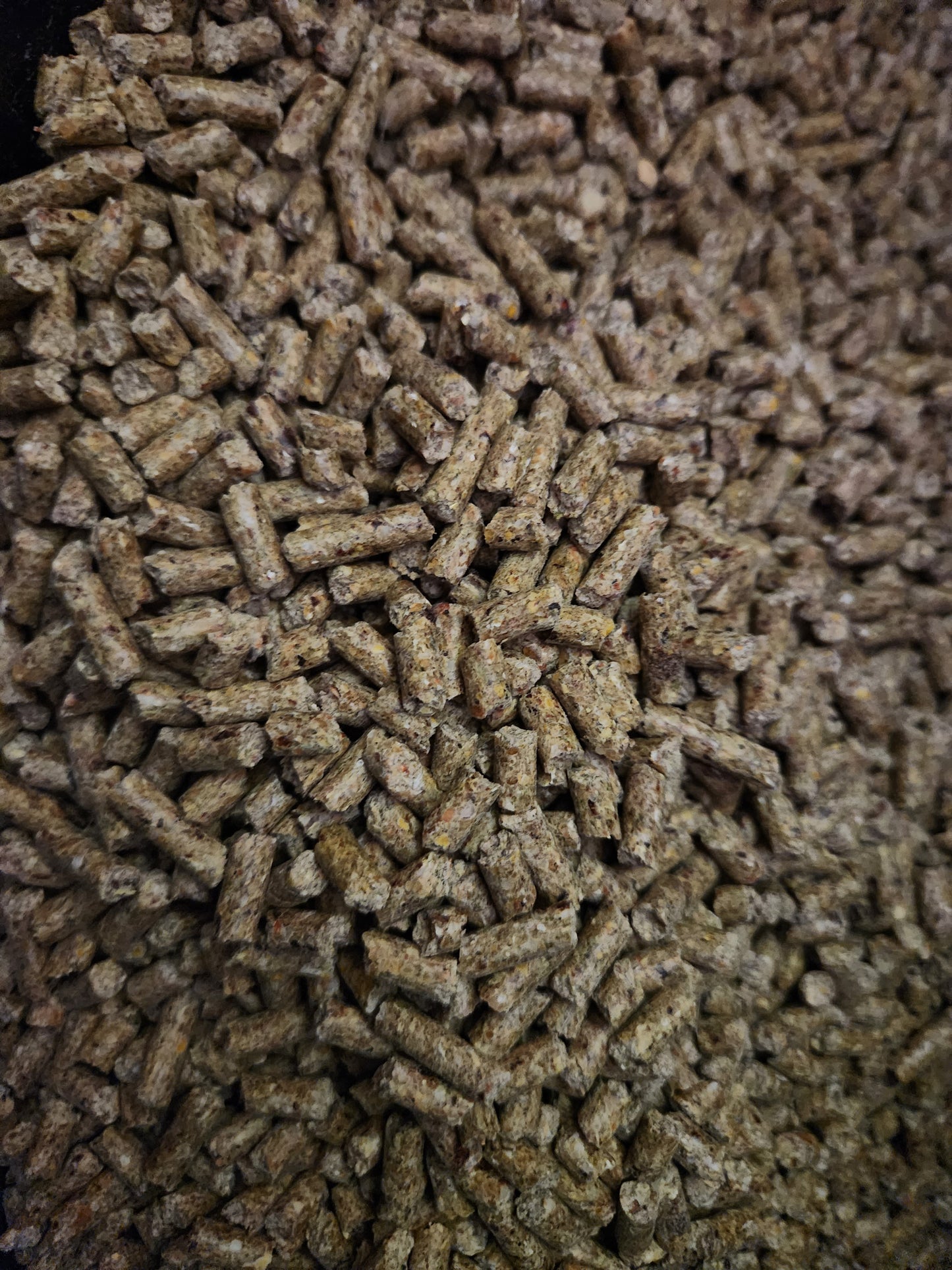 20% Layer Pellet Complete Feed