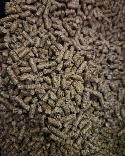 Premium Chicken Starter Pack